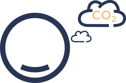 Icon, Pro Kopf CO2-Emissionen